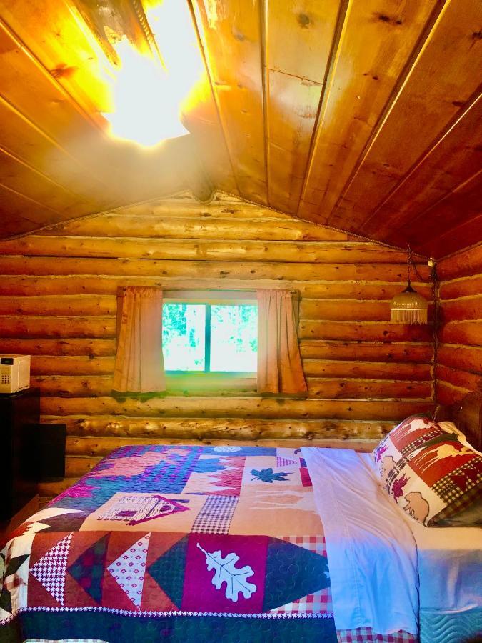 Carlo Creek Cabins Denali Park Exterior foto