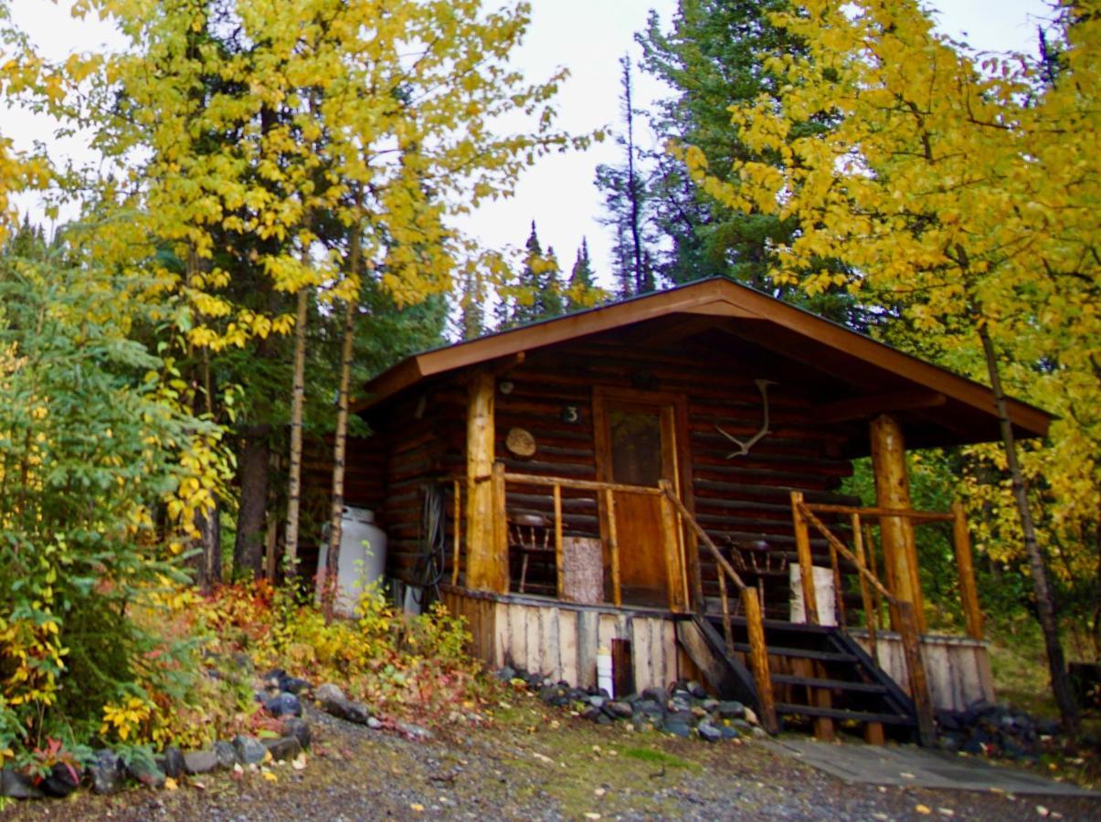 Carlo Creek Cabins Denali Park Exterior foto
