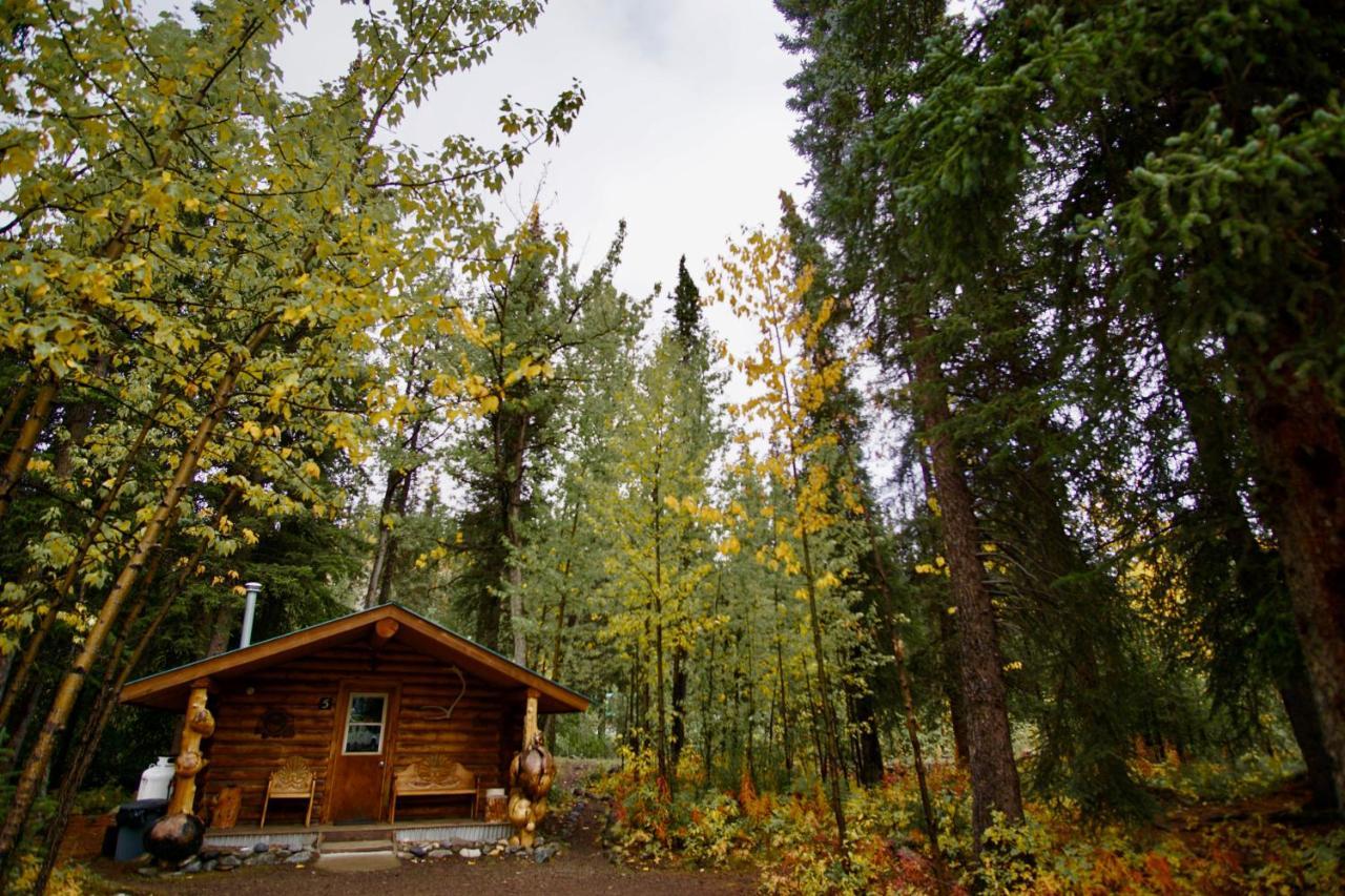 Carlo Creek Cabins Denali Park Exterior foto
