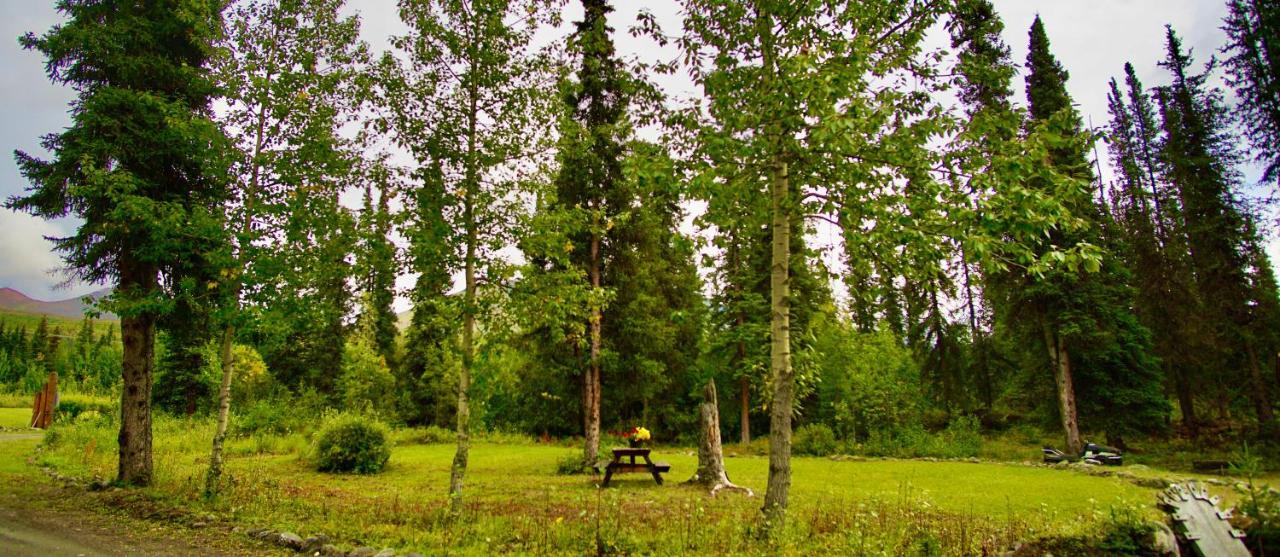 Carlo Creek Cabins Denali Park Exterior foto
