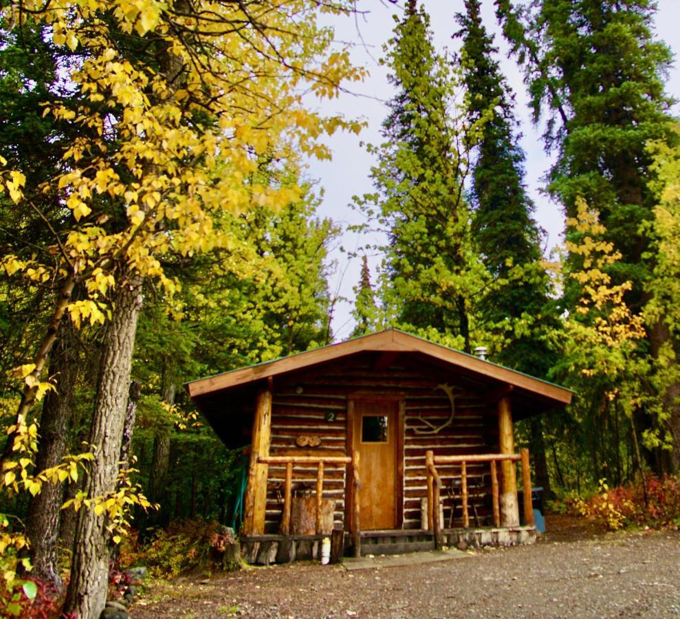 Carlo Creek Cabins Denali Park Exterior foto