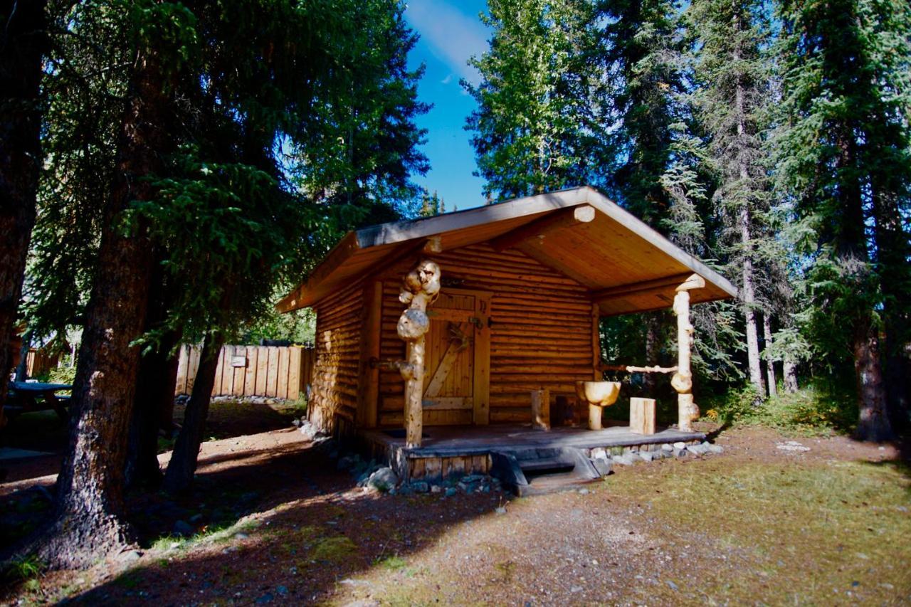 Carlo Creek Cabins Denali Park Exterior foto