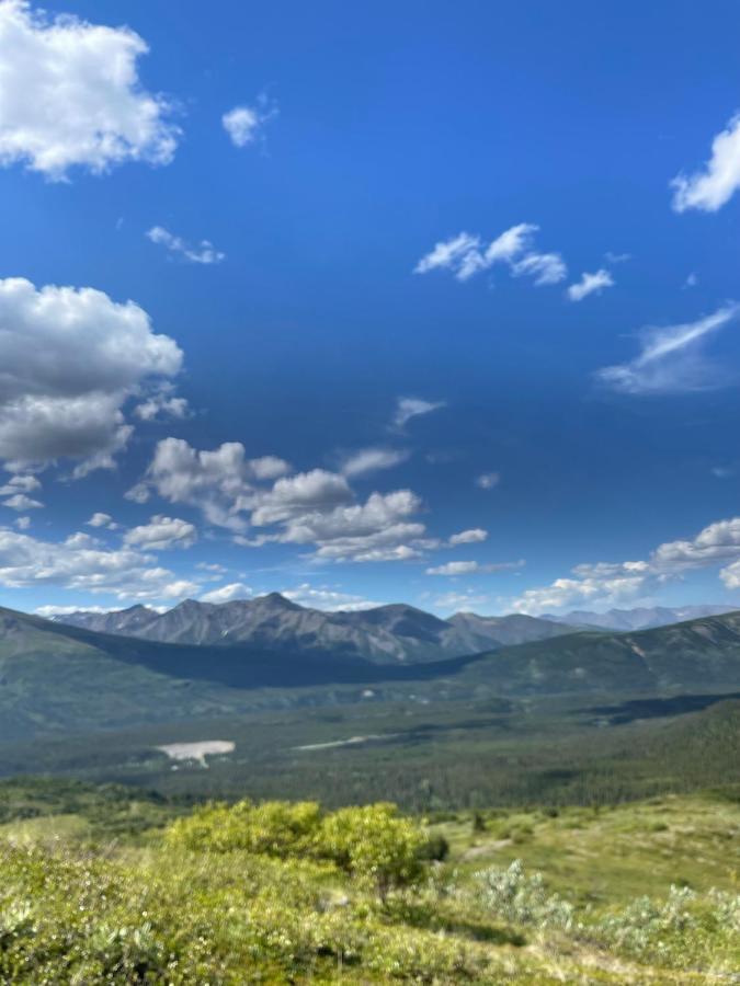 Carlo Creek Cabins Denali Park Exterior foto