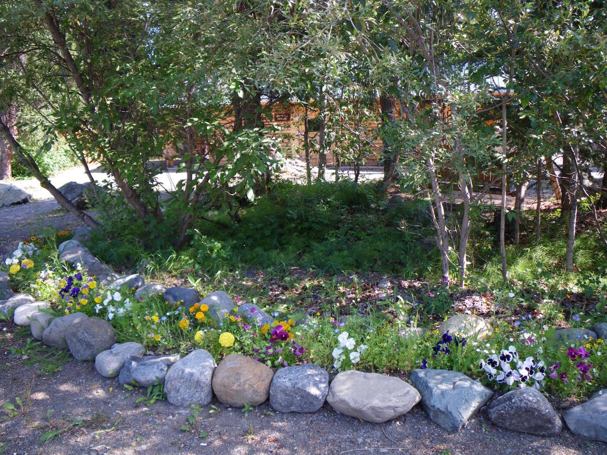 Carlo Creek Cabins Denali Park Exterior foto